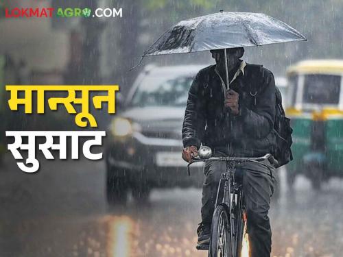 Monsoon captures half of Maharashtra; Where is the heavy rain today? and where is the orange alert? | Weather Forecast मान्सूनने निम्मा महाराष्ट्र काबीज केला; आज कुठे मुसळधार? कुठे ऑरेंज अलर्ट?