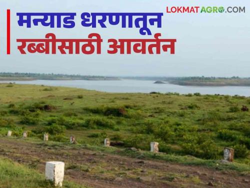 Latest News agriculture News First revision after December 15 for Rabi from Manyad Dam, read in detail  | agriculture News : मन्याड धरणातून रब्बीसाठी 15 डिसेंबरनंतर पहिले आवर्तन, वाचा सविस्तर 