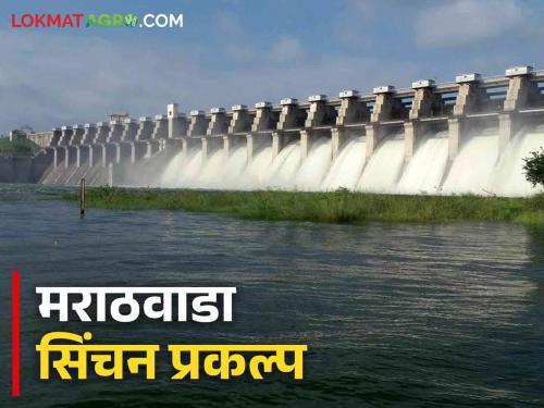 Irrigation projects : Irrigation projects in Marathwada will cover 'so many' hectares | Irrigation projects : मराठवाड्यातील सिंचन प्रकल्प 'इतके' हेक्टर क्षेत्र येणार ओलिताखाली