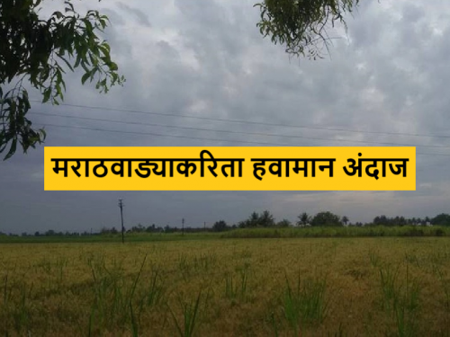 Latest News Marathwada Rain Update How will the rain be in Marathwada for next four days Know in detail  | Marathwada Rain Update : पुढील चार दिवस मराठवाड्यात पाऊस कसा असेल? जाणून घ्या सविस्तर 