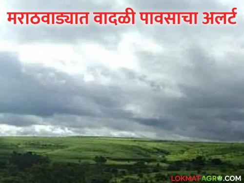 latest news Marathwada Weather Alert: Thunderstorm warning for 3 days in Marathwada; Is your district included? Read in detail | Marathwada Weather Alert : मराठवाड्यात ३ दिवस वादळी पावसाचा इशारा; तुमच्या जिल्ह्याचा समावेश आहे का? वाचा सविस्तर