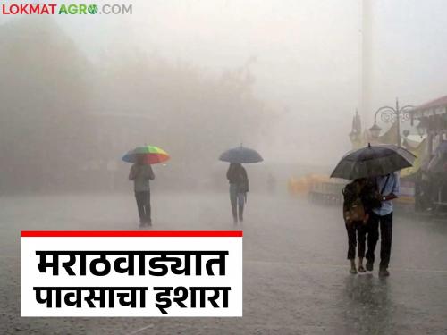 latest news Marathwada Rain Update: Alert for farmers: Rain and storms in Marathwada Read in detail | Marathwada Rain Update : शेतकऱ्यांसाठी अलर्ट: मराठवाड्यात पाऊस आणि वादळी वारे वाचा सविस्तर