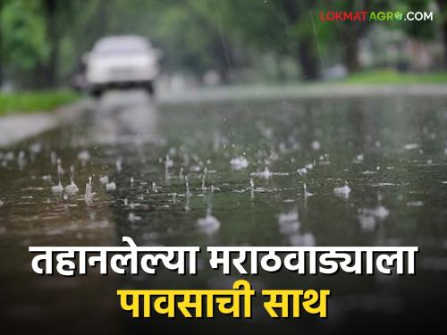 Marathawada Rain Update: Thirsty Marathwada has been quenched by heavy rains | Marathawada Rain Update: तहानलेला मराठवाडा मुसळधार पावसाने सुखावला