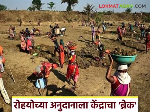 latest news MGNREGA Scheme : Centre's 'break' on Rohyo's subsidy; Know the reason in detail | MGNREGA Scheme : रोहयोच्या अनुदानाला केंद्राचा 'ब्रेक'; काय आहे कारण जाणून घ्या सविस्तर