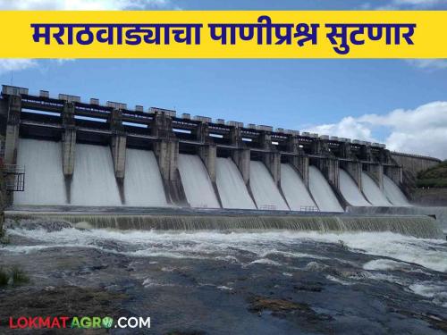 Jaykawadi Dam: How much water inflow in Jaykawadi reservoir?  | Jayakawadi Dam : जायकवाडीच्या जलाशयात पाण्याची किती आवक? 