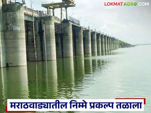 latest news Marathwada Dam Water Level: Half of the projects in Marathwada have reached the bottom; Jayakwadi's stock has increased, but concerns remain | Marathwada Dam Water Level : मराठवाड्यातील निम्मे प्रकल्प तळाला; जायकवाडीचा साठा वाढला तरी चिंता कायम