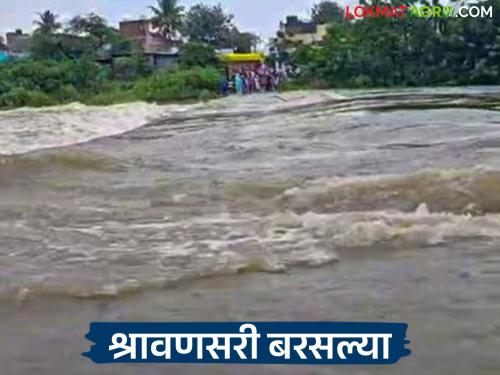latest news Marathawada Rain Update: Varun Raja's blessings on Marathwada; The rains have given a breath of new life to the Kharif. Read in detail | Marathawada Rain Update : मराठवाड्यावर वरुणराजाची कृपा; संततधारेने खरिपास दिला नवसंजीवनीचा श्वास वाचा सविस्तर