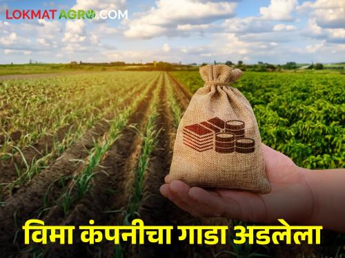 Crop Insurance Even if it is time to sow, wait for 75 percent insurance amount | Crop Insurance पेरणीची वेळ आली तरी ७५ टक्के विमा रकमेची प्रतीक्षाच