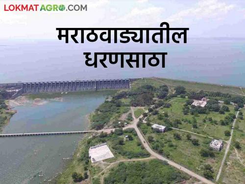 Latest News Marathwada Dam Storage How much water storage in Jayakwadi Dam of Marathwada Know in detail  | Marathwada Dam Storage : मराठवाड्यातील जायकवाडी धरण किती भरलं? जाणून घ्या सविस्तर 