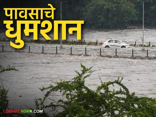 latest news Marathawada Rain Alert: Cloudburst-like rain in Marathwada; Alert notice to citizens | Marathawada Rain Alert: मराठवाड्यात ढगफुटीसदृश्य पाऊस; नागरिकांंना सतर्कतेच्या सूचना