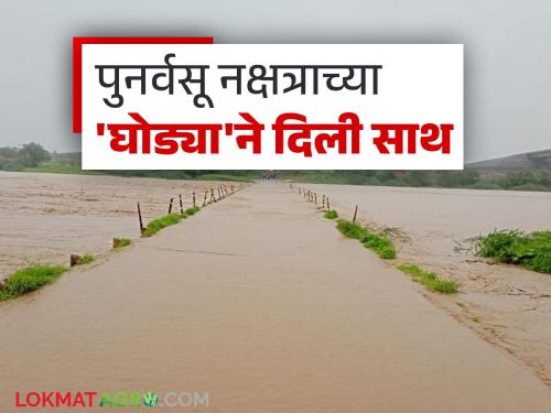 latest news Marathwada Rain Update: Strong return of rain; Revitalization of crops in Marathwada Read in detail | Marathwada Rain Update : पावसाचे दमदार पुनरागमन; मराठवाड्यात पिकांना नवसंजीवनी वाचा सविस्तर