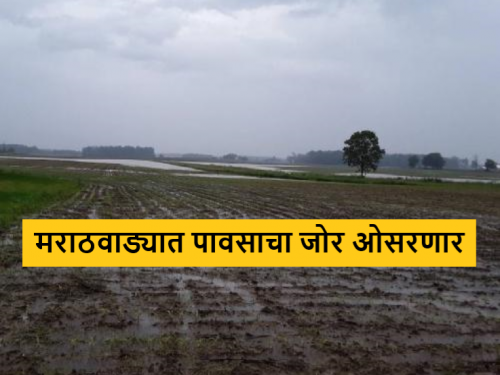 Latest News Maharashtra rain Update Rain will reduce in Marathwada and what other maharashtra see details | Maharashtra Rain Update : मराठवाड्यात पावसाचा जोर कमी होणार, उर्वरित महाराष्ट्रात पाऊस कसा असेल? 