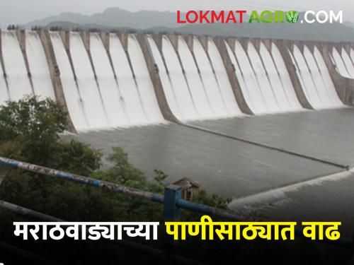 Marathwada Dam Storage The water storage of Marathwada is increasing; Read updates on Marathwada water resources | Marathwada Dam Storage मराठवाड्याच्या पाणीसाठ्यात होतेय वाढ; वाचा मराठवाड्याच्या पाणीसाठ्याची अद्यावत माहिती