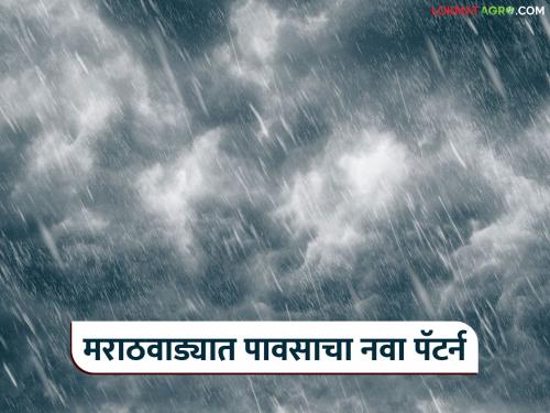 latest news Marathawada Weather Update: Changing face of rain in Marathwada; Read in detail what is the impact on farmers' cropping patterns | Marathawada Weather : मराठवाड्यात पावसाचा बदलता चेहरा; शेतकऱ्यांच्या पिकपद्धतीवर काय परिणाम वाचा सविस्तर