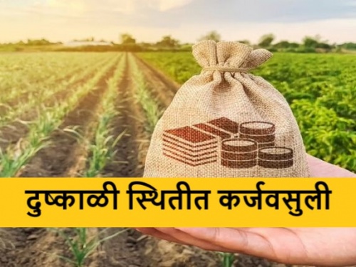 Sir, there is no water to drink, the crops have dried up, there is no market price, this levy should be stopped! | साहेब प्यायला पाणी नाही, पिके सुकली, बाजारभाव नाही, ही वसुली थांबवावी!