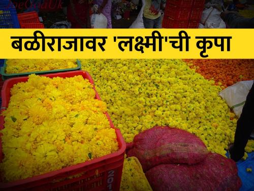 100 to 120 rupees per kg for marigold flowers | झेंडूच्या फुलांना प्रतिकिलो १०० ते १२० रुपये दर