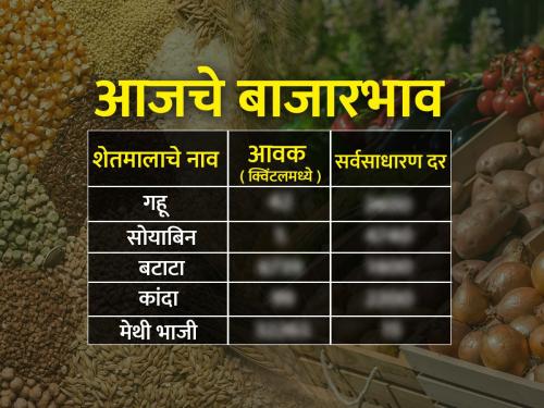 Today's onion market price and commodity market rates in maharashtra's major markets | आज कांदा बाजारभाव कसे होते? जाणून घ्या राज्यातील शेतमालाचे बाजारभाव