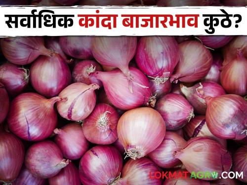 In the Onion Market market committee, onion got the highest market price | Onion Market या बाजारसमितीत कांद्याला मिळाला सर्वाधिक बाजारभाव