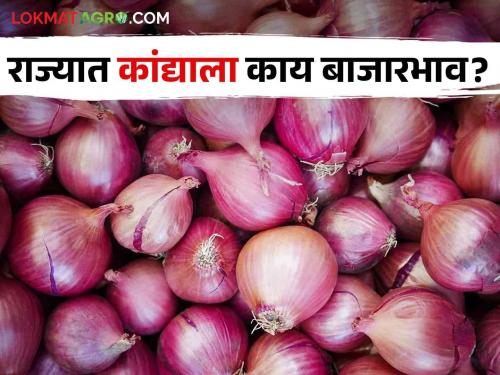 Latest news Kanda Market Good price for Nafed, but very cheap for farmers onion see today's onion market price | Kanda Market : नाफेडला चांगला भाव, शेतकऱ्याला मात्र कवडीमोल, पहा आजचे कांदा बाजारभाव