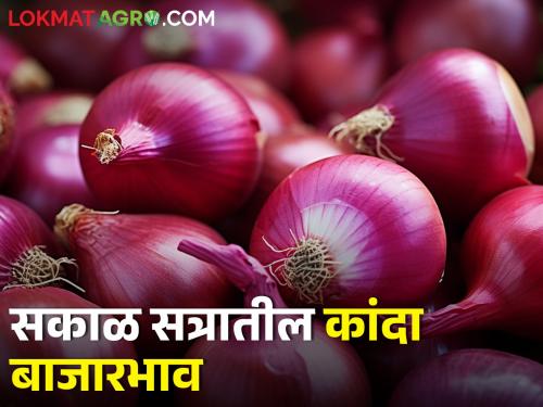 Latest News Todays morning onion market price in nashik and maharashtra | सकाळ सत्रात कांद्याची आवक घटली, कुठे-काय बाजारभाव मिळाला? 