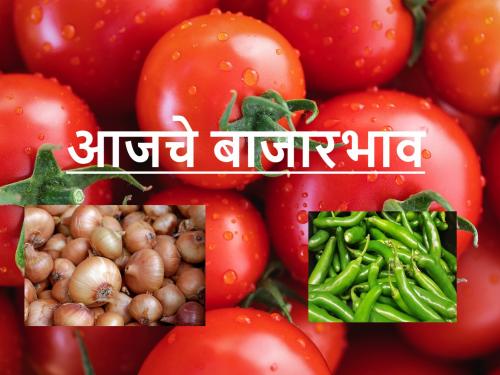 In the state today, the market prices of agricultural produce including onion, tomato, bajri, sorghum were as follows | राज्यात आज कांदा, टोमॅटो, बाजरी, ज्वारीसह शेतमालाचे बाजारभाव असे होते