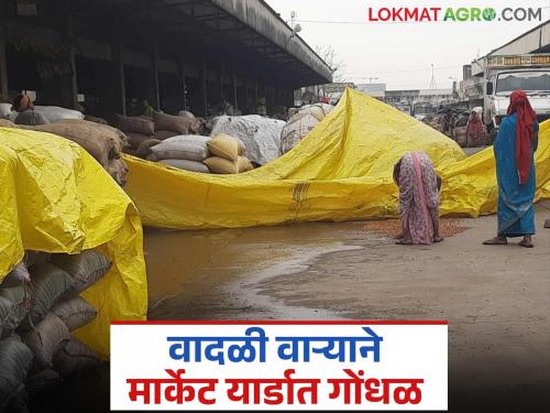 Market Yard: latest news Farmers' agitation in the market yard with the arrival of rains Read in detail | Market Yard: पावसाच्या आगमनाने मार्केट यार्डात उडाली शेतकऱ्यांची तारांबळ वाचा सविस्तर