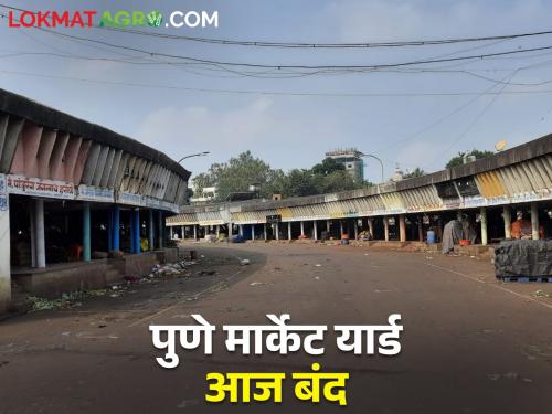 Pune Gultekdi Market Committee will remain closed today farmer updates | Pune Market Yard Close Today : पुणे गुलटेकडी बाजार समिती आज राहणार बंद