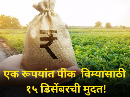 1 rupees Crop Insurance scheme central government December 15 deadline farmer agriculture | एक रूपयांत पीक विम्यासाठी १५ डिसेंबरची मुदत!