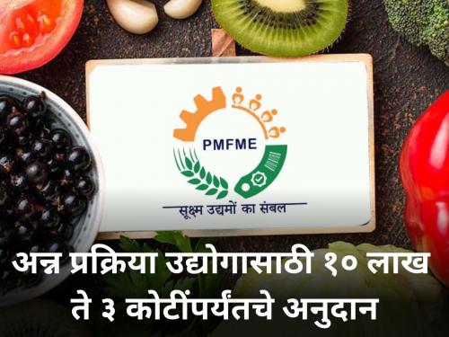 central government pmfme scheme subsidy 10 lakh to 3 crore subsidy is available for food processing industry full information | PMFME Scheme : अन्न प्रक्रिया उद्योगासाठी मिळतेय १० लाख ते ३ कोटींपर्यंतचे अनुदान