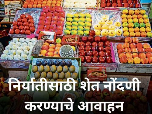 farm registration of exportable fruit and vegetable crops Hortinet system agriculture department | निर्यातक्षम फळे-भाजीपाला पिकांची हॉर्टीनेट प्रणालीवर शेत नोंदणी करण्याचे आवाहन 