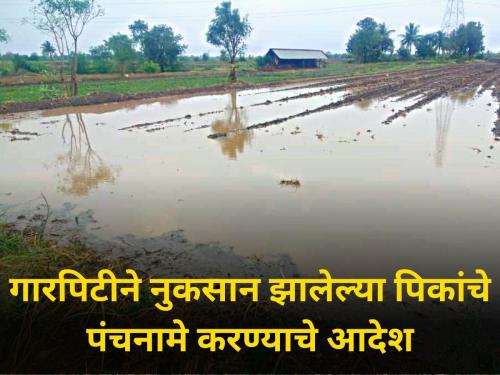 Chief Minister orders Panchnama of crops damaged by heavy rain hailstorm | गारपिटीने नुकसान झालेल्या पिकांचे पंचनामे करण्याचे मुख्यमंत्र्यांचे आदेश