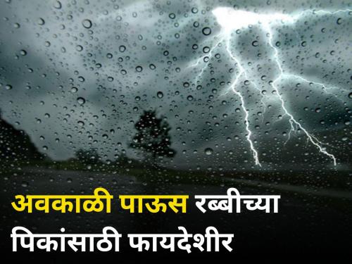 Unseasonal rain last week was beneficial for rabi crops agriculture farmer | मागच्या आठवड्यात पडलेला अवकाळी पाऊस रब्बीच्या पिकांसाठी फायदेशीर