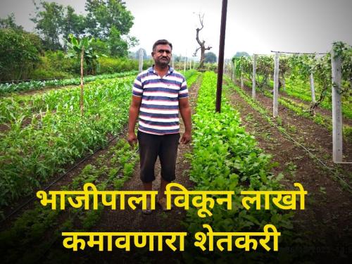 A farmer earns millions a month by selling vegetables | नैसर्गिक शेती अन् भाजीपाला विकून शेतकऱ्याची महिन्याला लाखोंची कमाई