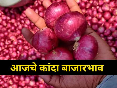 agriculture farmers onion rates market yard maharashtra | कांद्याचे दर जागेवरच! जाणून घ्या आजची स्थिती