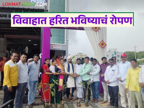 latest news The unique wedding ceremony of Sheetal and Sharad, tied the knot by giving banyan tree saplings | वटवृक्षाची रोपे देऊन विवाहाच्या बंधनात; शीतल अन् शरदचा अनोखा विवाह सोहळा