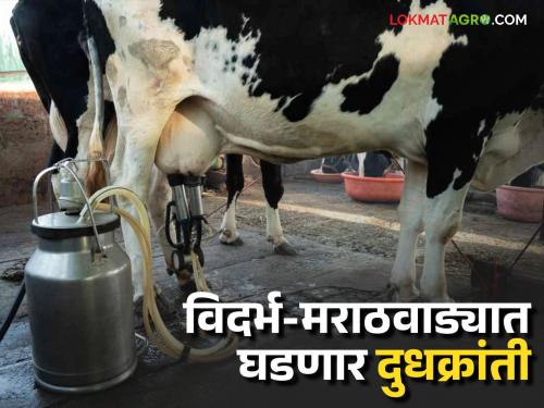 Approval of second phase of dairy development project in all districts of Vidarbha and Marathwada How farmers will benefit | विदर्भ आणि मराठवाड्यातील सर्व जिल्ह्यात दुग्ध विकास प्रकल्पाच्या दुसऱ्या टप्प्याला मान्यता शेतकऱ्यांना कसा होणार फायदा