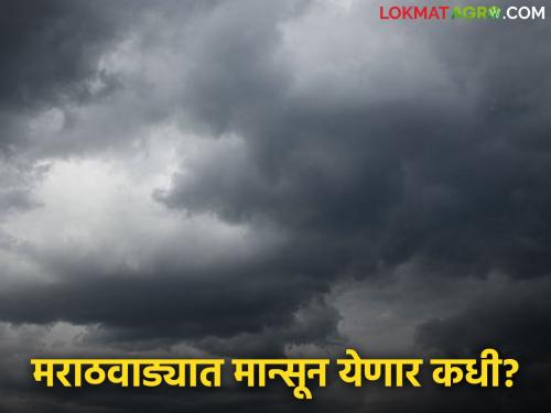 latest news Marathawada Monsoon Update: 'May' rain was just a 'trailer'; Know the details after the actual monsoon 'this' date | Marathawada Monsoon Update: 'मे'चा पाऊस होता फक्त 'ट्रेलर'; मूळ मान्सून 'या' तारखेनंतर जाणून घ्या सविस्तर