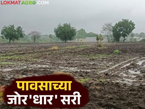 latest news Marathawada Rain: Nature's havoc on Marathwada; Triple impact of rain, lightning, floods - read in detail | Marathawada Rain : मराठवाड्यावर निसर्गाचा कहर; पाऊस, वीज, पुर- संकटांचा तिहेरी फटका वाचा सविस्तर