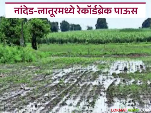 latest news Marathwada Rain Update: Record-breaking rainfall recorded in Nanded and Latur; Fear of heavy rain in Marathwada | Marathwada Rain Update : नांदेड व लातूरमध्ये रेकॉर्डब्रेक पावसाची नोंद; मराठवाड्यात अतिवृष्टीची धास्ती