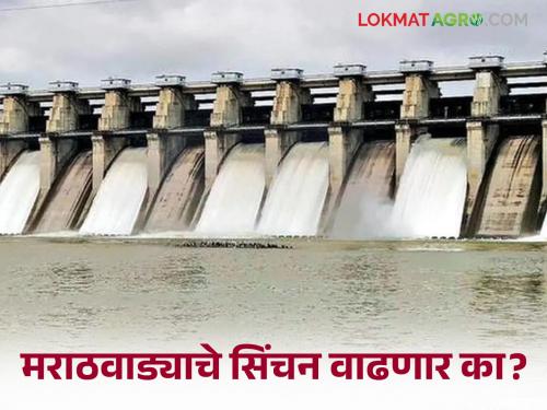 Marathwada Water Issue: latest news Injustice to Marathwada for receiving arrears of grant as per Nagpur Agreement | Marathwada Water Issue : नागपूर करारानुसार अनुशेष अनुदान मिळण्यास मराठवाड्यावर अन्याय