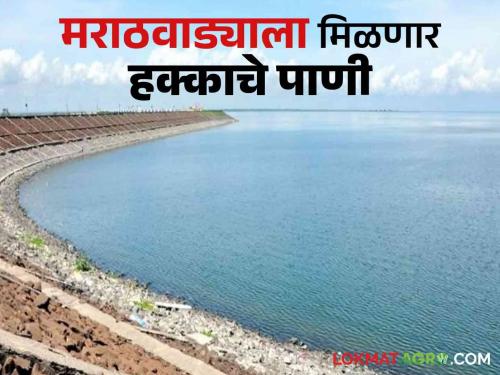 Marathwada will get rightful water; Cabinet approves river linking project | मराठवाड्याला मिळणार हक्काचे पाणी; नदीजोड प्रकल्पाला मंत्रिमंडळाची मंजुरी