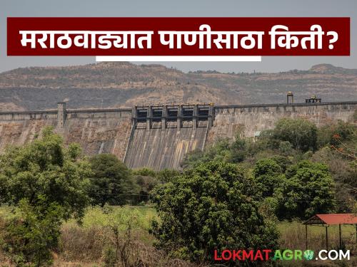 latest news Marathawada Water shortage: Water level in dams drops in summer; Know the details | Marathawada Water shortage: ऐन उन्हाळ्यात धरणांतील पाणीपातळी घसरली; जाणून घ्या सविस्तर