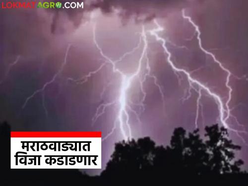 latest news Marathwada Weather Update: Weather has changed in Marathwada; Lightning and thunder in 'this' district Read in detail | Marathwada Weather Update: मराठवाड्यात हवामान बदलले; 'या' जिल्ह्यात विजांचा गडगडाट वाचा सविस्तर
