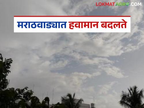 latest news Marathwada Weather Update: Weather changes in Marathwada; What will the weather be like next week? Read in detail | Marathwada Weather Update : मराठवाड्यात हवामान बदलते; पुढील आठवड्यात हवामान कसे असेल? वाचा सविस्तर