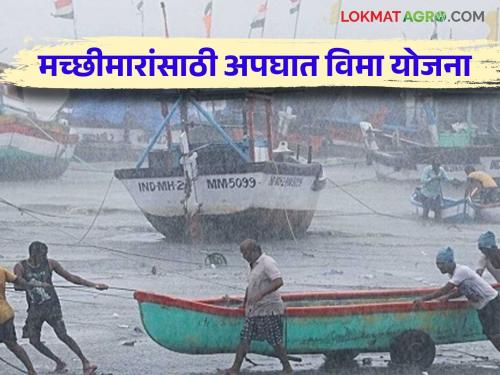 fishing insurance scheme : Read Group Accident Insurance Scheme (GAIS) for Fishermen in detail | fishing insurance scheme : मच्छिमारांसाठी समूह अपघात विमा योजना (GAIS) वाचा सविस्तर