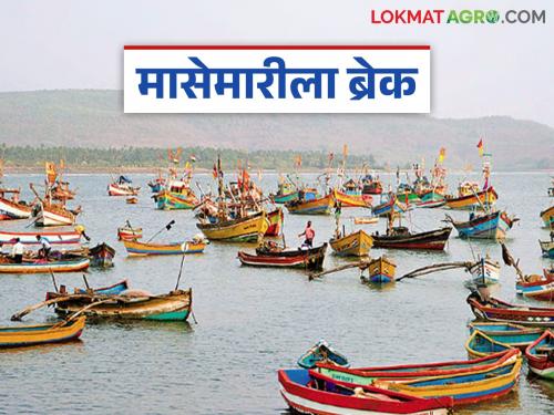 Fishing season comes to a halt; Fishermen panic as boats remain on shore | मासेमारीच्या हंगामाला लागला ब्रेक; नौका किनाऱ्यावरच मच्छीमार बांधव धास्तावले