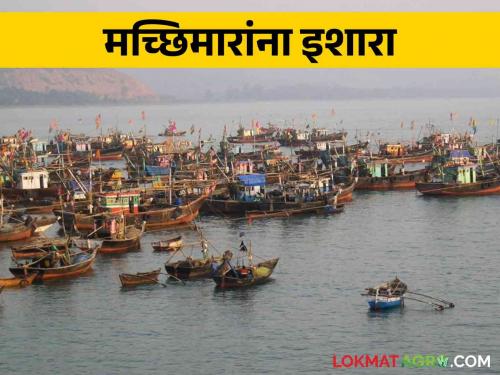 Fisherman Warning : Rain and heavy winds in sea warning fisherman for come back | Fisherman Warning : समुद्रात पाऊस, वादळी वारा; मच्छीमार बांधवांनो परत फिरा