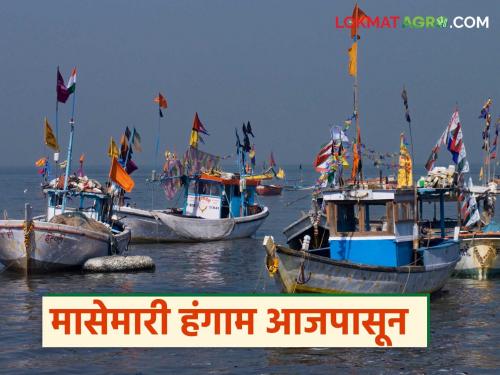 Ban on fishing lifted from today, but fishing will start late due to 'this' reason | आजपासून मासेमारीवरील बंदी उठली परंतु 'या' कारणामुळे मासेमारीला होणार उशिरा सुरवात