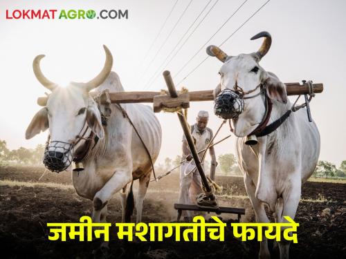 Why regular cultivation of land is necessary; What effect does this have on income? find out | जमिनीची नियमित मशागत का आहे गरजेची; याचा उत्पन्नावर काय परिणाम होतो? जाणून घ्या