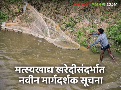 Latest News fish farming New guidelines regarding fish feed procurement have been implemented | मत्स्यखाद्य खरेदीसंदर्भात नवीन मार्गदर्शक सूचना लागू, काय आहेत या सूचना?